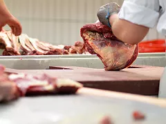 Оборудование для переработки мяса