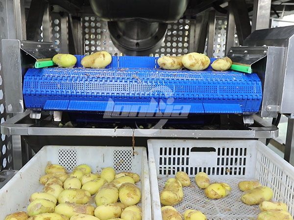 Паровая картофелечистка