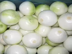 Линия по очистке, нарезке и упаковке лука