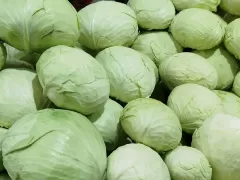 Линия по переработке капусты