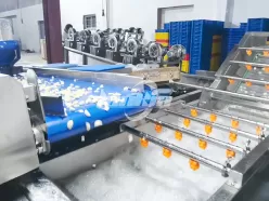 Линия по переработке чеснока