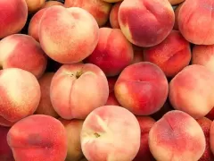 Сортировщик яблок по размеру