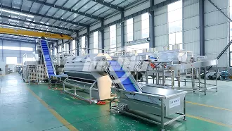 Линия по производству картофеля фри