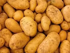 Машина для опрыскивания и очистки имбиря