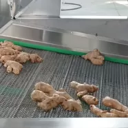 Машина для опрыскивания и очистки имбиря