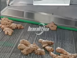 Линия по производству имбирного порошка