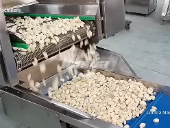 Линия по переработке чеснока