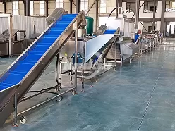 Линия по переработке чеснока