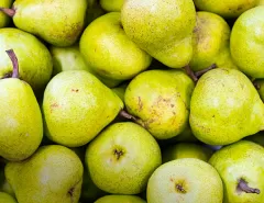 Линия очистки и сортировки яблок