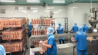 Линия по производству колбас