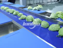 Линия по производству овощных салатов