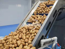 Линия по производству картофеля фри
