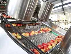 Линия очистки и сортировки яблок