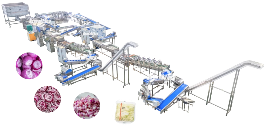 Промышленная линия переработки лука