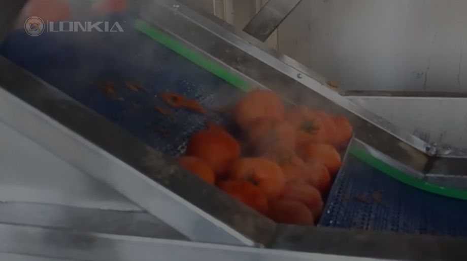 Линия по производству паровой очистки томатов Презентация видеопродукции