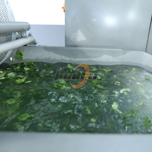 Машина для вихревой мойки фруктов и овощей