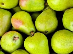 Сортировщик яблок по размеру