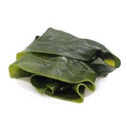 Морская зона