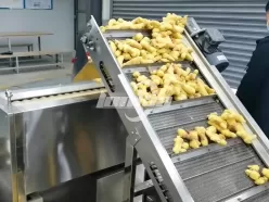 Линия по производству имбирного порошка