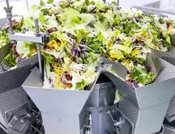 Линия по производству овощных салатов