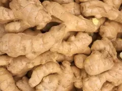 Машина для опрыскивания и очистки имбиря