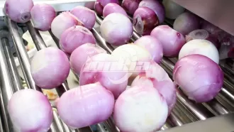 Линия по очистке, нарезке и упаковке лука