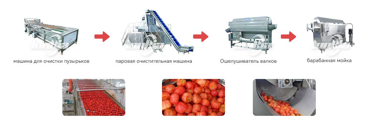 Линия по производству паровой очистки томатов