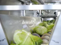 Линия по переработке капусты