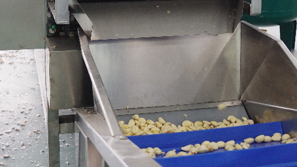 Машина для разделения чеснока на зубчики Презентация видеопродукции