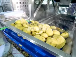 линия по производству картофельных чипсов