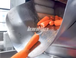 Полностью автоматизированная линия по переработке моркови