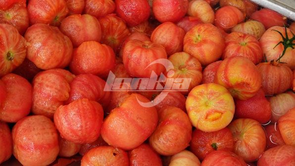 Линия по производству паровой очистки томатов Презентация видеопродукции